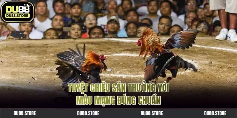 Xây dựng chiến thuật khôn ngoan khi cá cược