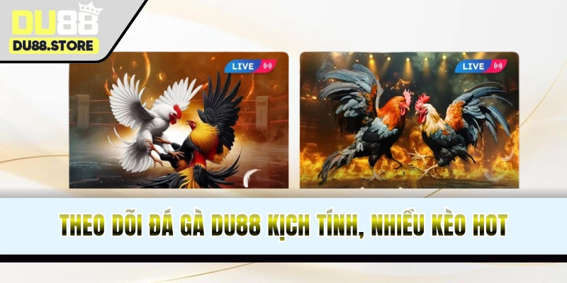 Đá gà trực tiếp đa dạng loại hình, tỷ lệ ăn cao