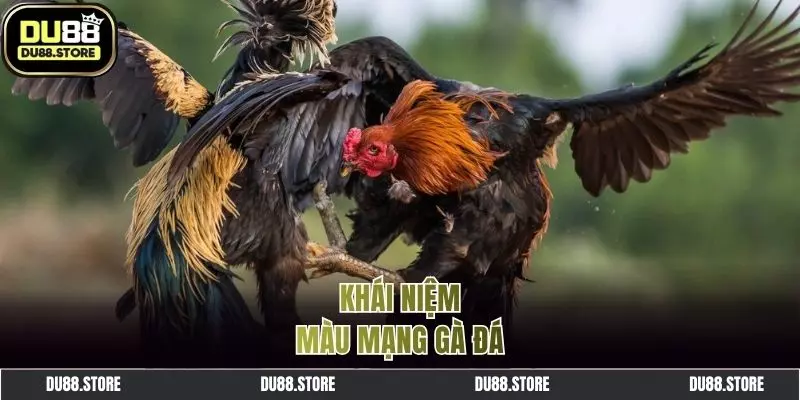 Giới thiệu về màu mạng đá gà