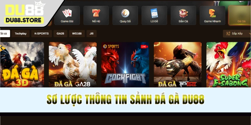 Thông tin cơ bản về chuyên mục đá gà DU88