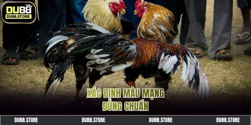 Màu mạng gà đá áp dụng với từng giống