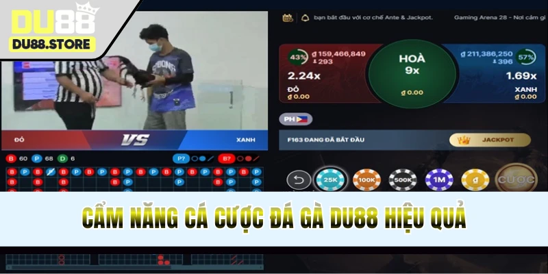 Tips chơi chọi kê online tại website thắng lớn